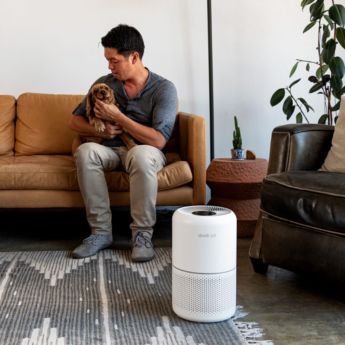 Очищувач повітря levoit core p350-rac pet care з цим hepa-фільтром, 100% без озону, сенсорний екран